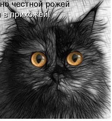 Дмитрий Остермиллер