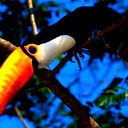 Артём Сапетов