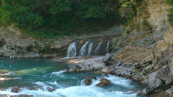 Наталья Костенко