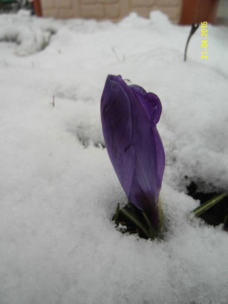 Светлана Коваленко