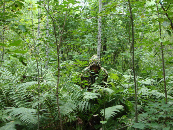 Витто Карлеоне