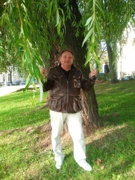 Владимир Шалупенко