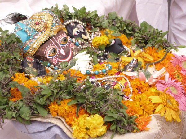 Гауранги Д.д Гауранги Д.д