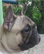 Валентина Платонова