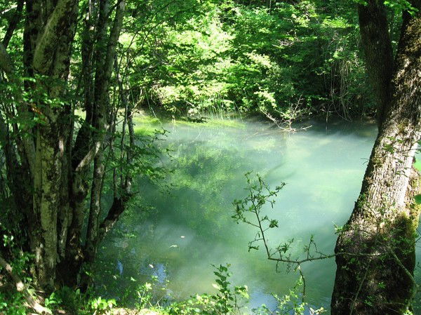 Амалия Людвиговна Абрамян