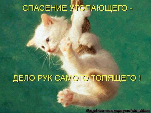 Даня Ефимов