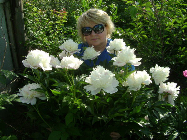 Вера Тимошенко