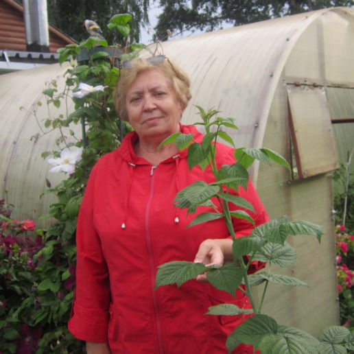 Галина Мизик