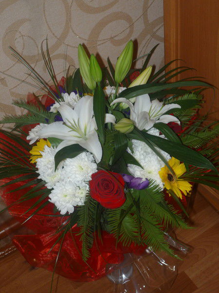 Светлана Макеева