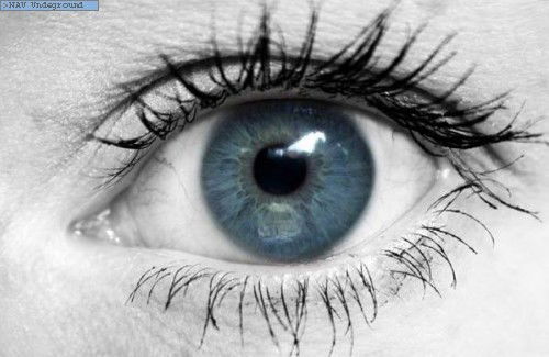 Сергей Кириченко