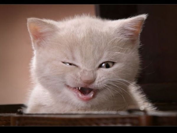 Станислав Шабай