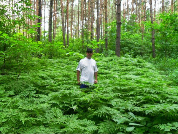 Алексей Катков