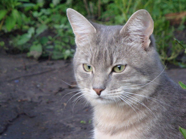 Александр ///