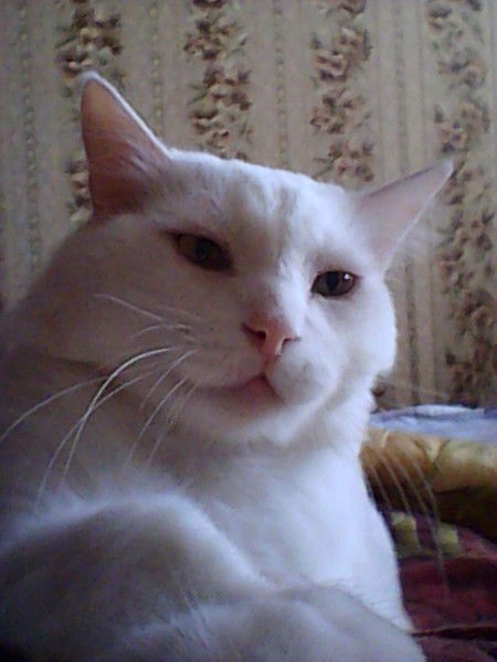 Вадим Булыгин