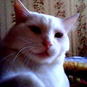 Вадим Булыгин