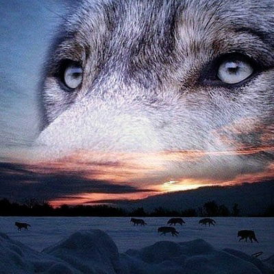 Роман Недовесов