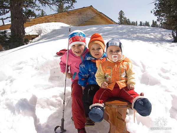 Елена Вамбольдт