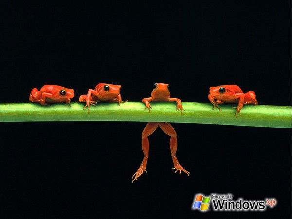 Иван Иванов