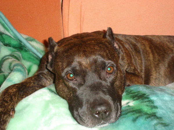 Денис Буланенков