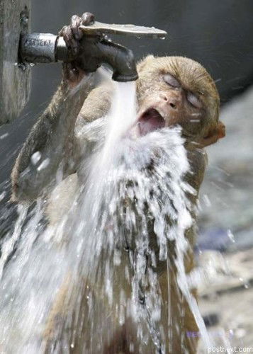 Станислав Афанасьев