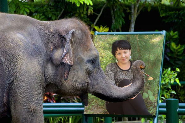 Юлия Жернакова