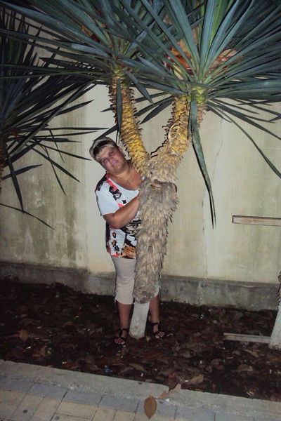 Елена Самсонова