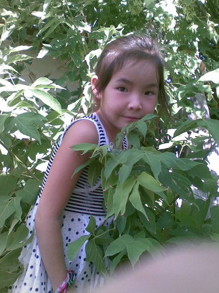 Дана Кубенкулова