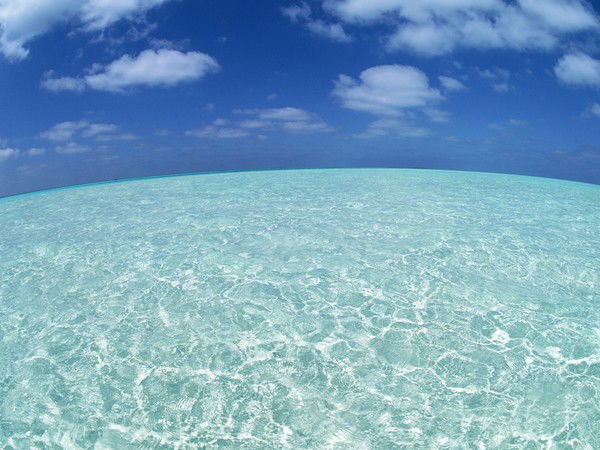 Ксюха Полякова