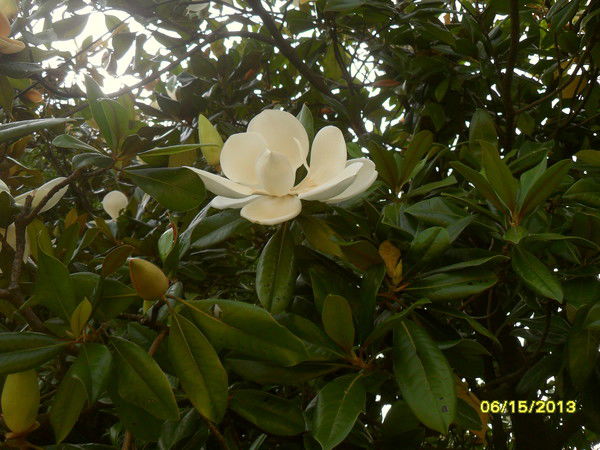 Наталья Долженко