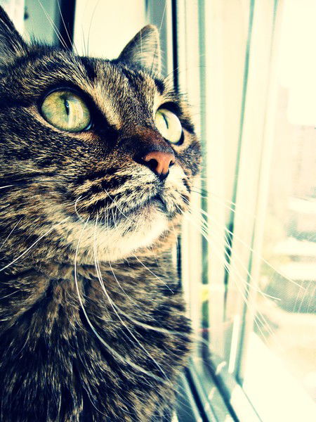 Ольга Ковалева