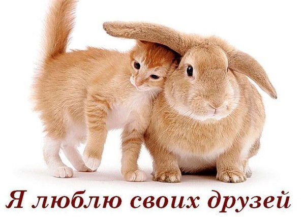 Лидия Иудина