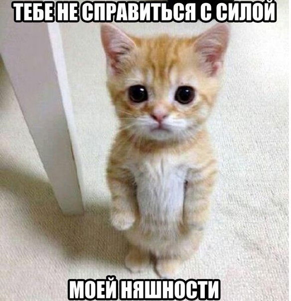 Диана Иргибаева