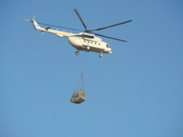 Светлана Однорал