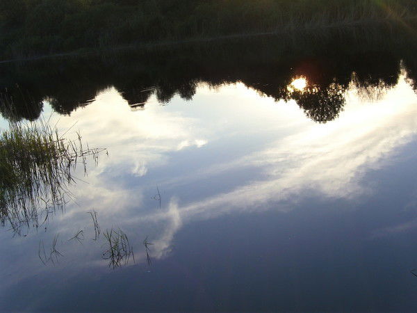 Николай Василенков