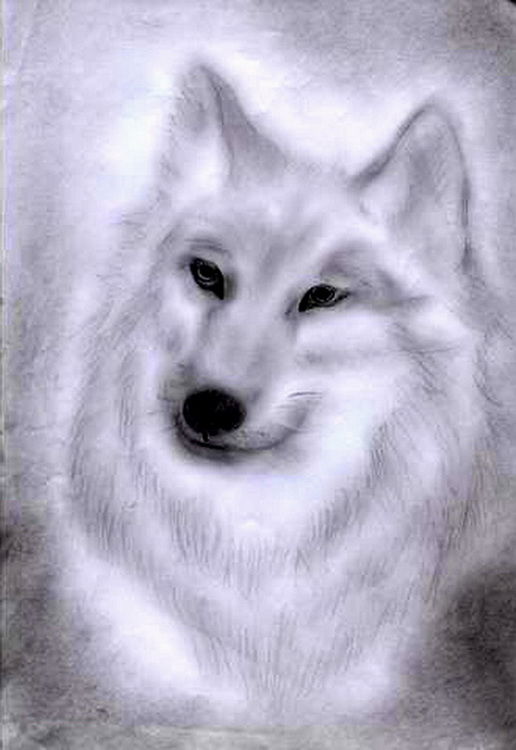 Алекса Алекса