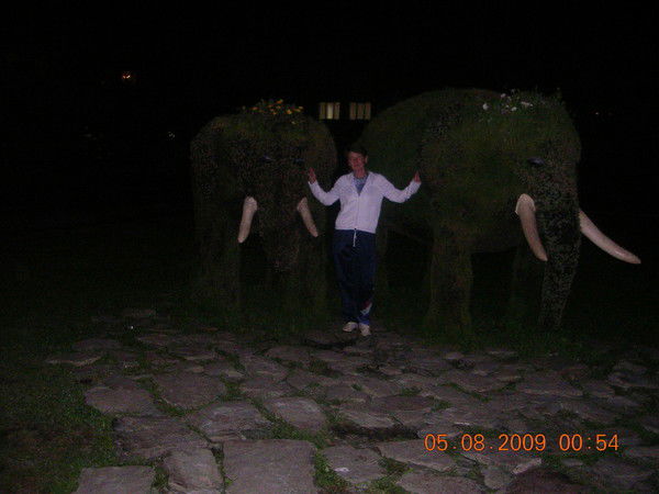 Елена Лисова