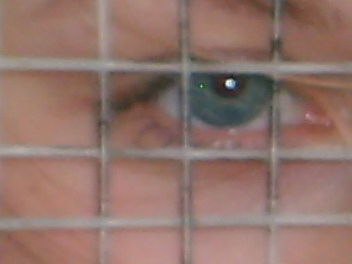 Наталья Вавилина