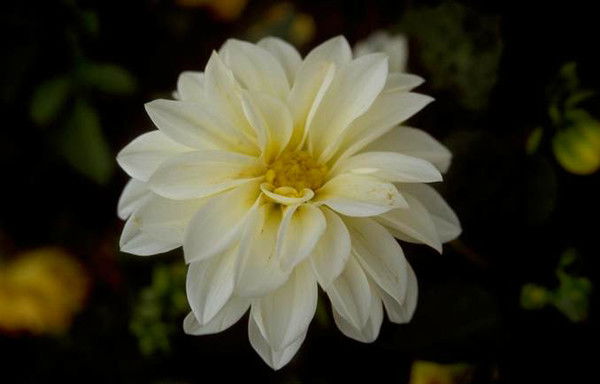 Назира Карыбай Кызы