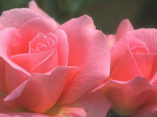 Гульзат Утегенова