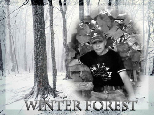 Коля Мегедь