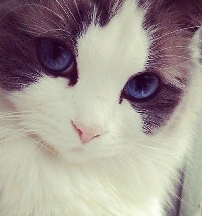 Викуля Забавина