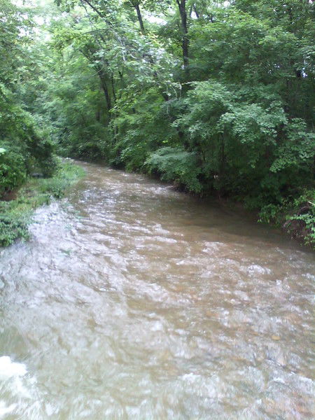 Ольга Сергеева