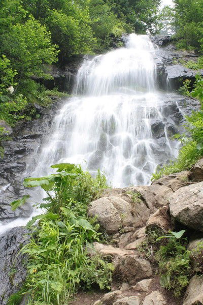 Илья Ефимов