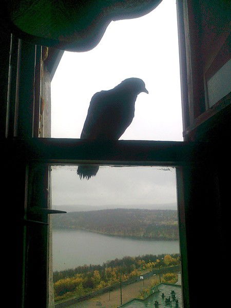 Любовь Потапова