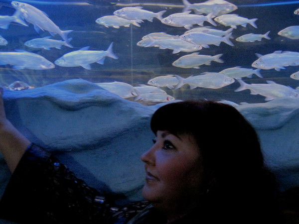 Елена Головина