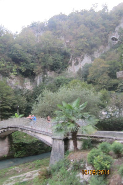 Ольга Сафронова