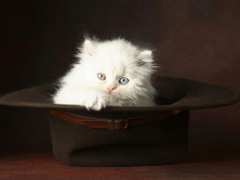 Татьяна Акинчина