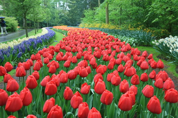 Неля Надточая