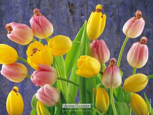 Алия Булебаева