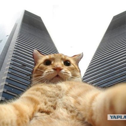 Александр Маркин